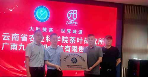 云南大叶种抹茶迎来院企联合布局 多元参与见证标准化国际化新起点
