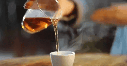 黑茶泡煮体验全分享 解锁不同场景适配的风味乐趣