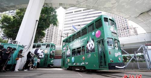 来香港乘熊猫生日主题电车巡游港岛 解锁萌趣参与体验