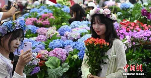 暑期赴昆明斗南花市 体验花香里的多元逛游乐