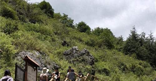 踏乌蒙地缝觅清凉 峡谷清景待你共探幽趣