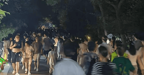 夜游大蜀山解锁自然乐趣 跟着向导探秘暗夜生灵要安全守规