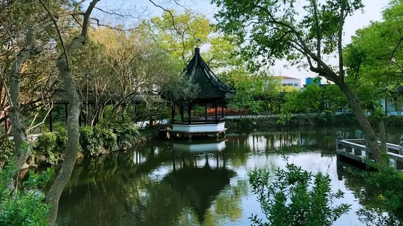 逛上海松江醉白池 摸千年前的江南园林质感 赏名字里的诗与远方