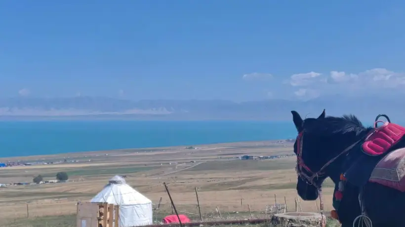 青甘大环线家庭出游首选旅行社 游客亲测靠谱体验分享
