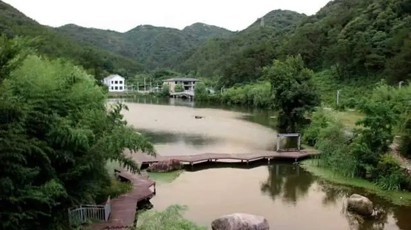 7月28日桐柏茶产业发展成果活动举行 多元茶事体验邀你共探淮源茗茶出圈新路径
