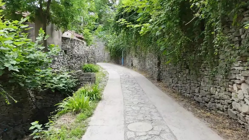 山东淄博:古村留古韵 文旅促振兴