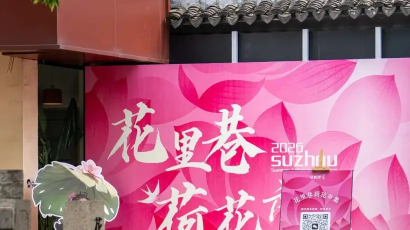 此刻姑苏|一巷荷花,半日清闲
