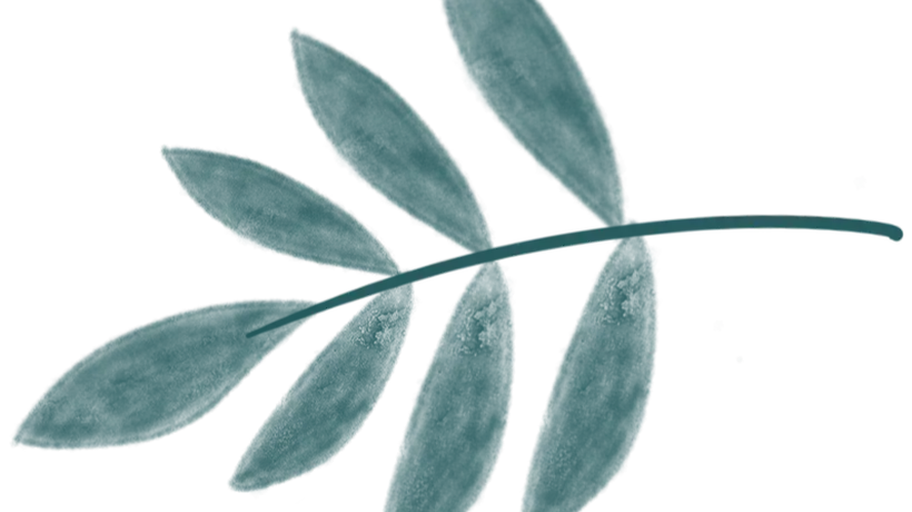 活动报道‖品四时茶宴,阅一城文脉!“早点来泰州”系列讲座收官