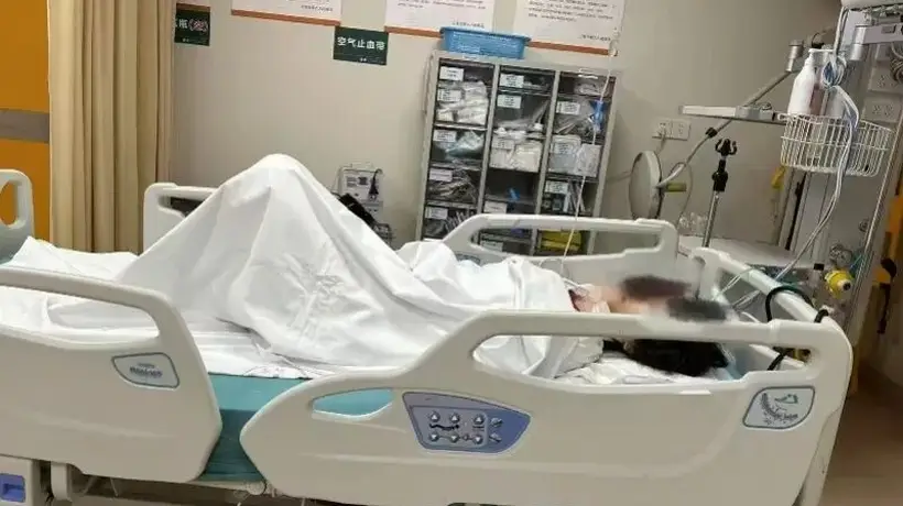 上海反虐猫志愿者遭网暴后轻生,经抢救已脱险 家属将协助维权