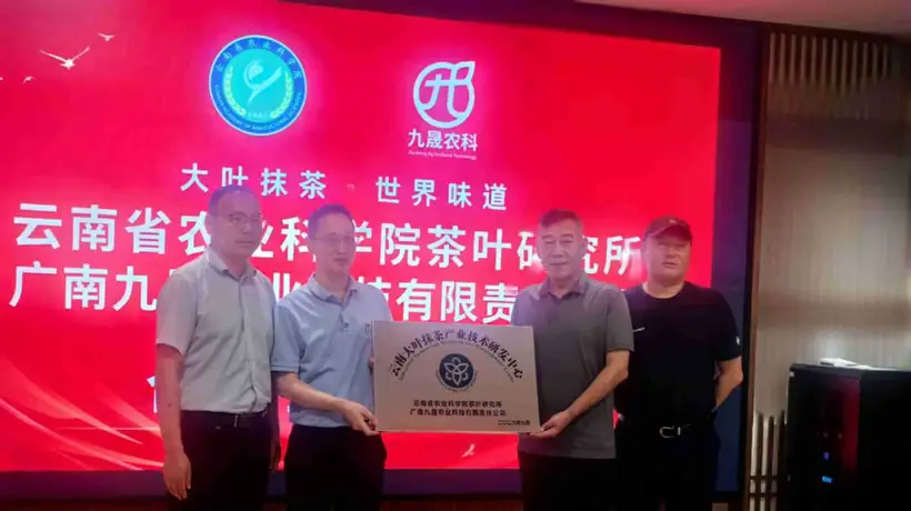 云南大叶种抹茶迎来院企联合布局 多元参与见证标准化国际化新起点