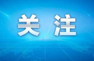 教育部发文：暑期坚决杜绝手机作业