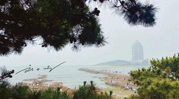 来青岛赴海滨之约 逛多元产业活动享开放门户魅力