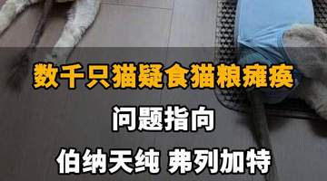 【数千只猫疑食猫粮瘫痪,问题指向伯纳天纯、弗列加特,伯纳天纯回应:已成立专项小组跟进调查】