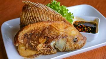 香煎马鲛鱼:来自海洋的春节家宴 “鲜”锋