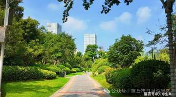 来商丘日月湖景区赴一场清凉盛夏之约 沉浸式感受湖光绿意里的清欢时光