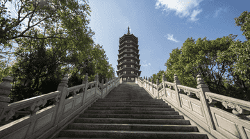 来普陀山找靠谱同行伙伴 杭州自在旅行社十余年专业地接资源邀您共创多元出行体验