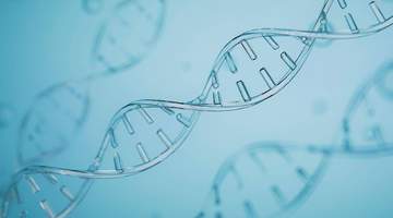 两起基因编辑试验致死案例曝光 看IIT规范缺失如何影响中国生物医药国际声誉