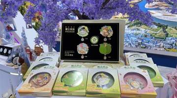 红肠、锅包肉变身毛绒挂件丨扫个码还能“吃”到黑土优品?龙粤文创把AR玩出花