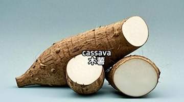 揭秘全球八亿人的主食:剧毒木薯如何安全食用?