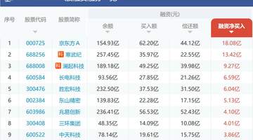 “老登”又成“血包”!杠杆资金做空10股,农业银行、国泰海通等金融股遭融券卖空,融资加仓前10均为科技股,京东方A、寒武纪遭热捧