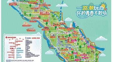 通州这里波斯菊+向日葵花海盛放！还能骑行、开卡丁车~