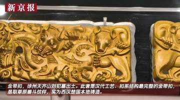 视频|大葆台展出西汉金带扣 草原纹样楚地铸造别具特色