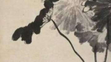 人文|八大山人的“荷”