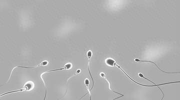 千年“养精蓄锐”遭推翻,牛津 5.4 万人研究:精子越攒,质量越差