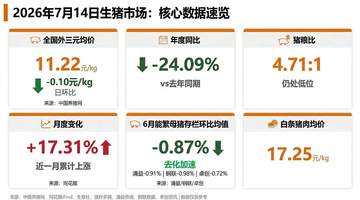 涌益/钢联/卓创三方同步确认6月能繁去化加速!机构提示:二育退潮后猪价短期或承压