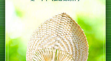 有地方头伏吃饺子,有地方吃馄饨火腿,你准备吃什么?