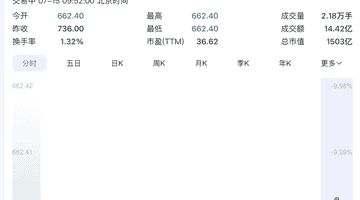 存储芯片龙头,一字跌停!