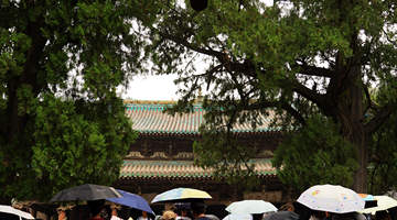 山西:暑期文旅热