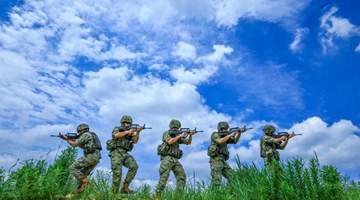 盛夏日,共赴火热练兵场