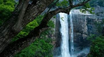 在洛阳,你的旅行人格是——