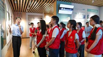 福建茶旅融合：茶香浸润青春实践之旅
