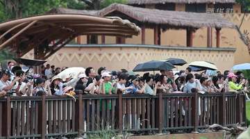 广东暑期文旅迎新动能 生态体验成亮点