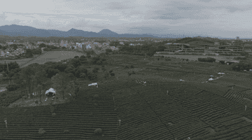 7月23日走进柏塘万亩茶园 “笃志向善” 突击队与你共赴茶乡沉浸之约