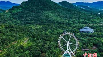 盛夏打卡南京东郊紫清湖 无人机镜头里满是生机盎然的绿意景致