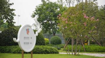来潍坊象主题公园体验多元生态文化 推窗见绿出门入园的宜居好地方等你来