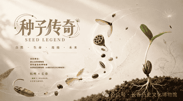 来长春历史文化博物馆参与《种子传奇》科普特展，解锁神奇种子的多元体验