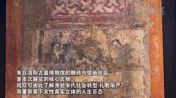 来南越王博物院解锁宋金女性多面人生 展览三大板块联动呈现120余件文物 带你沉浸式感受古代女性鲜活面貌