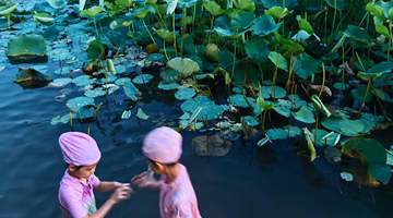 南岸叠水公园亲水空间焕新 多元活动邀市民畅享夏日自然体验