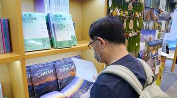 暑期赴港解锁多元文娱场景 游客参与体验拉满激活新活力