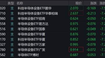 半导体板块个股集体下挫 设备主题ETF受拖累跌幅超七成？