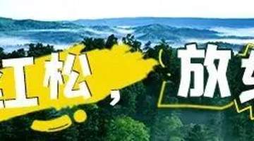 伊春夏季旅游季价格要留心 市场监管局提醒游客避开价格坑