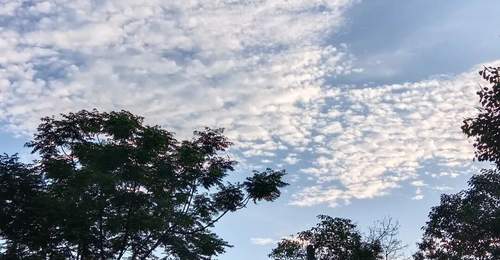 高考698分却称“考砸”:“最差即最优”焦虑背后的新解