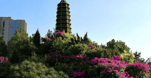 穿越天山南北，在伊犁河谷的草原、花海与雪峰间寻找新疆的夏日诗篇——一份实用旅行指南