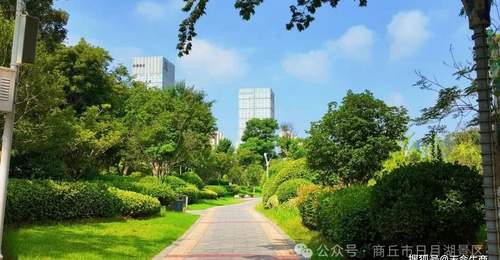 来商丘日月湖景区赴一场清凉盛夏之约 沉浸式感受湖光绿意里的清欢时光