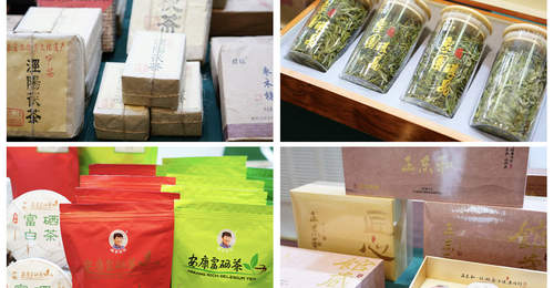 陕茶带着创新茶香走进天山 多元体验激活丝路茶香新玩法