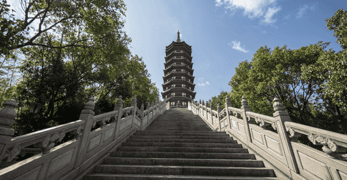 来普陀山找靠谱同行伙伴 杭州自在旅行社十余年专业地接资源邀您共创多元出行体验